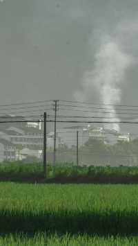 闖入宮崎駿嘅夏天！平陽稻田治癒系風景絕咗