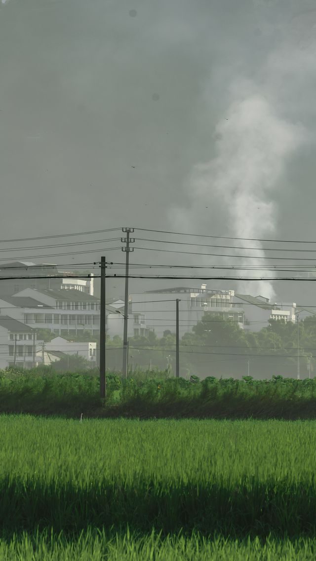 闖入宮崎駿嘅夏天！平陽稻田治癒系風景絕咗