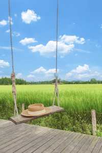 江門 | 走進宮崎駿嘅夏天！只想發呆一個下晝！