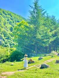 唔去新疆！陝西私藏咗個阿勒泰20℃夏天太正啦！