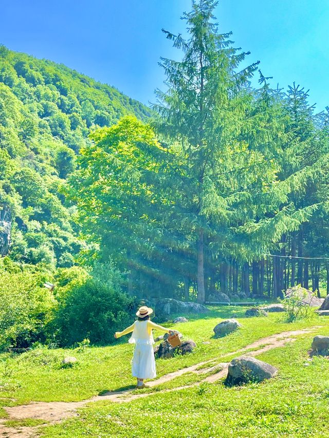 唔去新疆！陝西私藏咗個阿勒泰20℃夏天太正啦！