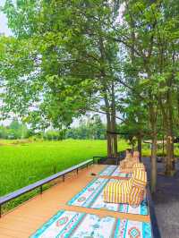 成都新開「小清邁」營地！玩水/捉泥鰍/划船