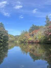 從輕井澤紅葉步道，到東京潮流地標，一趟靜與動的完美旅程