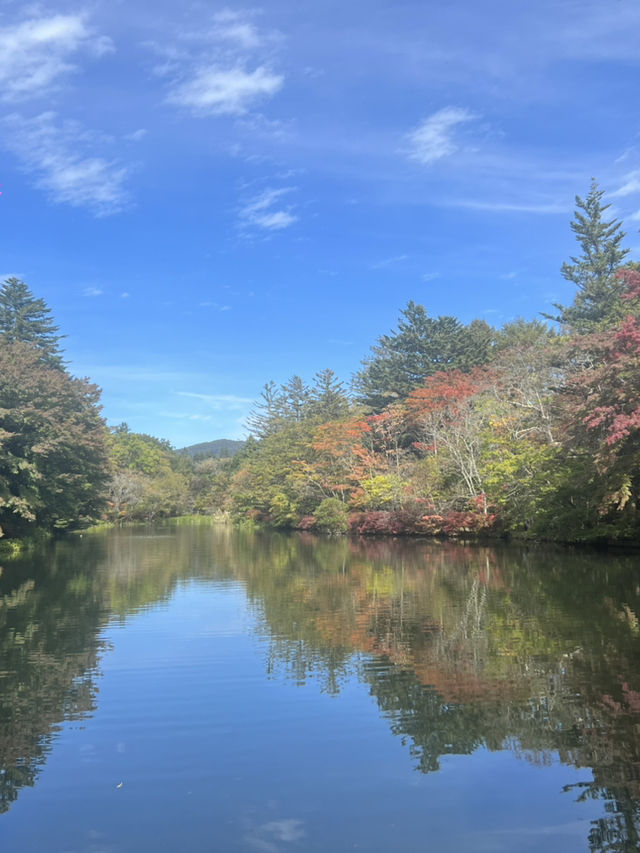 從輕井澤紅葉步道，到東京潮流地標，一趟靜與動的完美旅程
