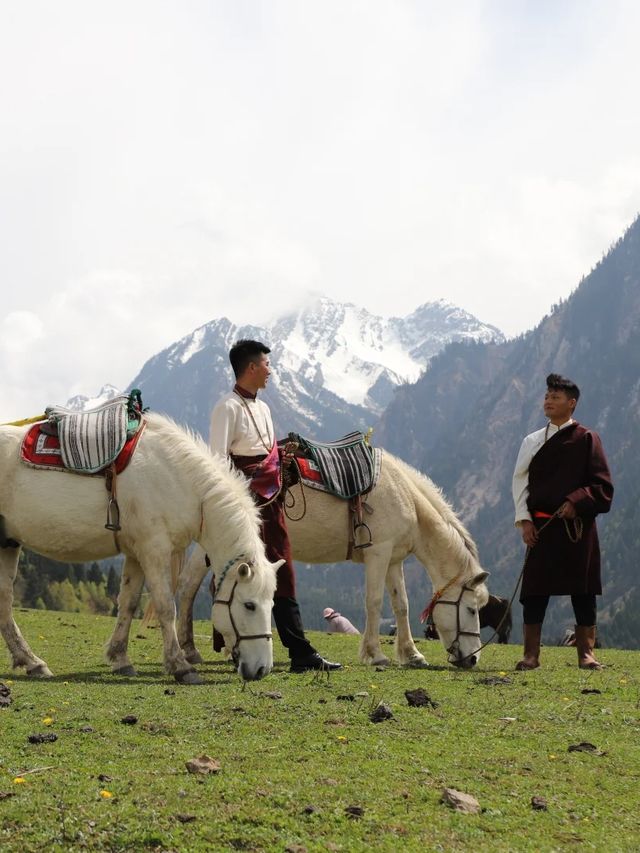 Hotel Indigo Jiuzhai | Riding White Horses into Summer’s Emerald Verse