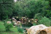 攝影｜瀋陽東陵郊野公園嘅夏天
