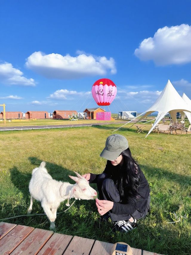 新疆昭蘇！一個讓人想無限續住的風景營地！！
