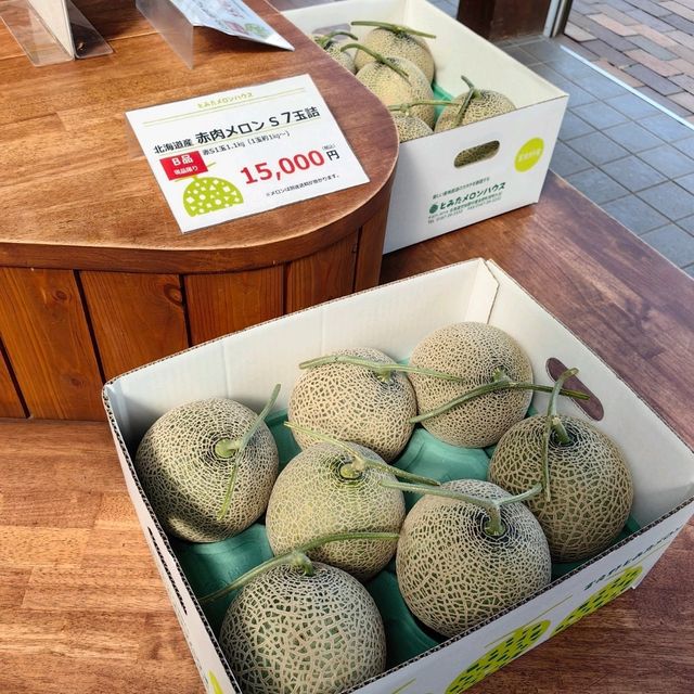 北海道哈密瓜之顛