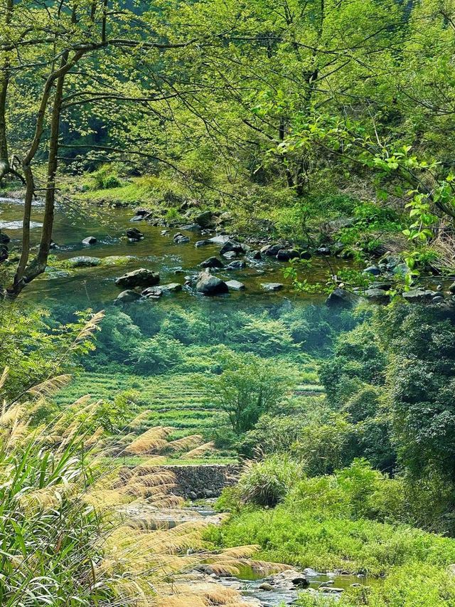 《溯溪玩水、古村避暑！小泉溪村，一鍵冰鎮整個夏天！》