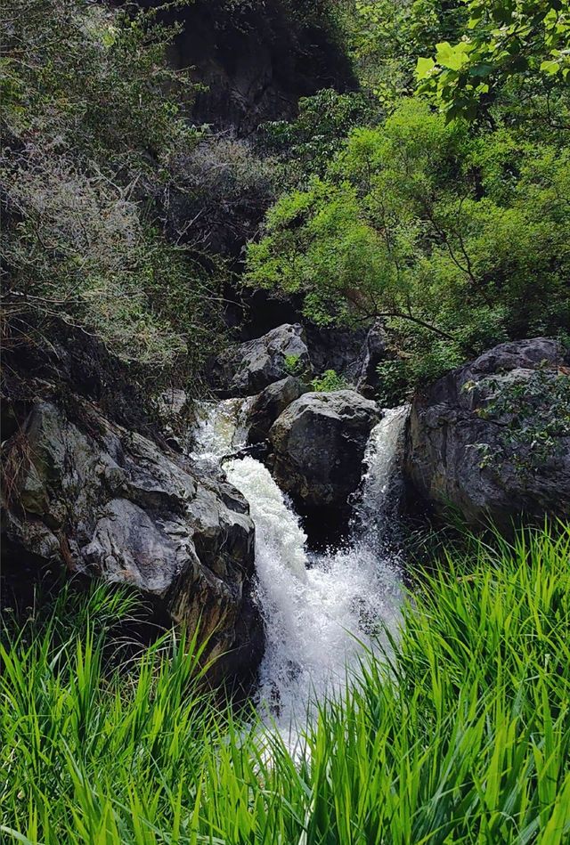天然氧吧與避暑勝地的完美體驗