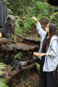 喺普洱森林攤足3日，我被治癒到唔捨得走…