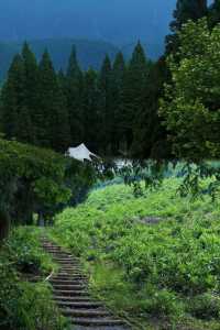 夏日避暑勝地：浙江莫干山實用遊玩攻略，真實體驗！