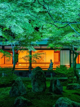 Wakayama Cat Train Must-Visit