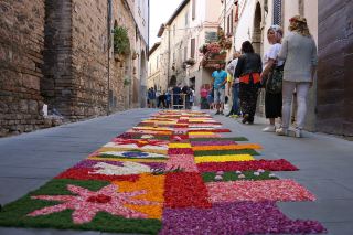 Complete Guide to the Infiorata Flower Carpet Festival [Part 1]