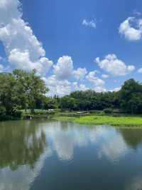 一見傾心西湖遊