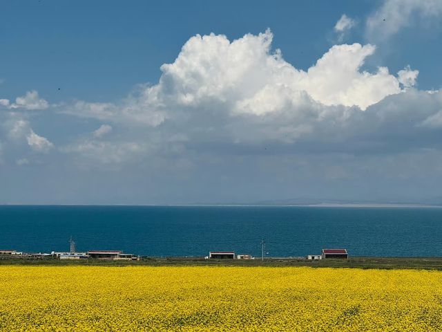 青海玩3日，我嘅消費觀崩潰咗