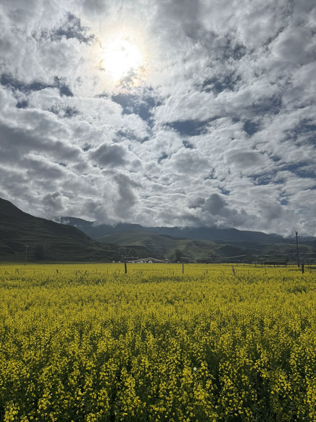 West Sichuan - Tibetan Grasslands 