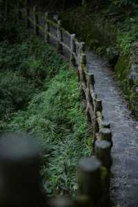 重慶金佛山 打卡18℃的夏天