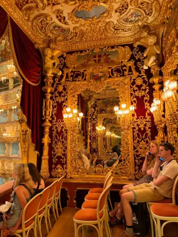 A Must-See Venetian Theater Experience