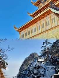 峨眉山終極攻略:登金頂觀雲海,邂逅靈猴仙境!