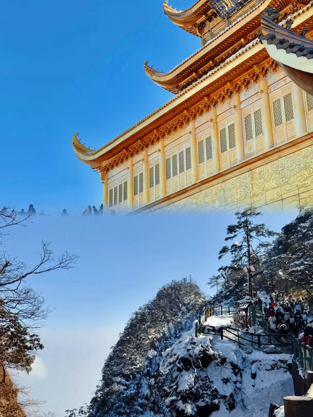 峨眉山終極攻略:登金頂觀雲海,邂逅靈猴仙境! 峨眉山終極攻略:登金頂觀雲海,邂逅靈猴仙境!