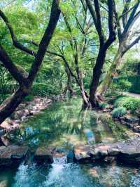 九溪十八澗 秋日漫遊吸氧路線