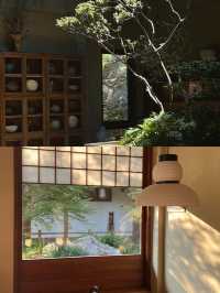 景德鎮躺平實錄|在東籬院的3天,把日子過成中式散文詩