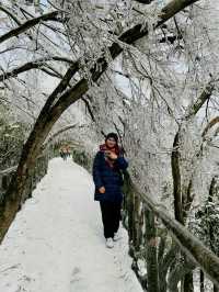 Tianmen Snow Guide🗻