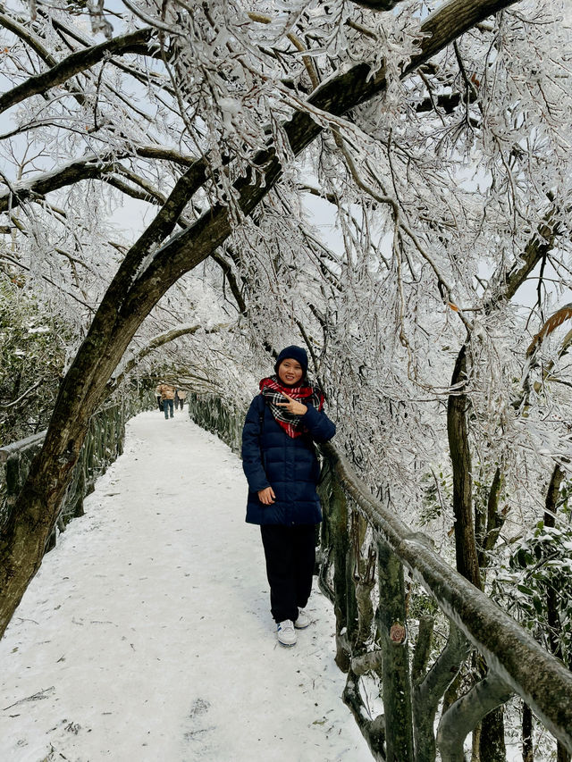 Tianmen Snow Guide🗻