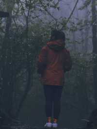 勇闖哀牢山