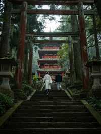 奈良東大寺手記｜在蓮花座下與唐朝的風重逢