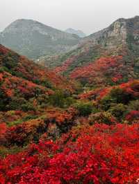 石門坊賞紅葉，邂逅秋日浪漫