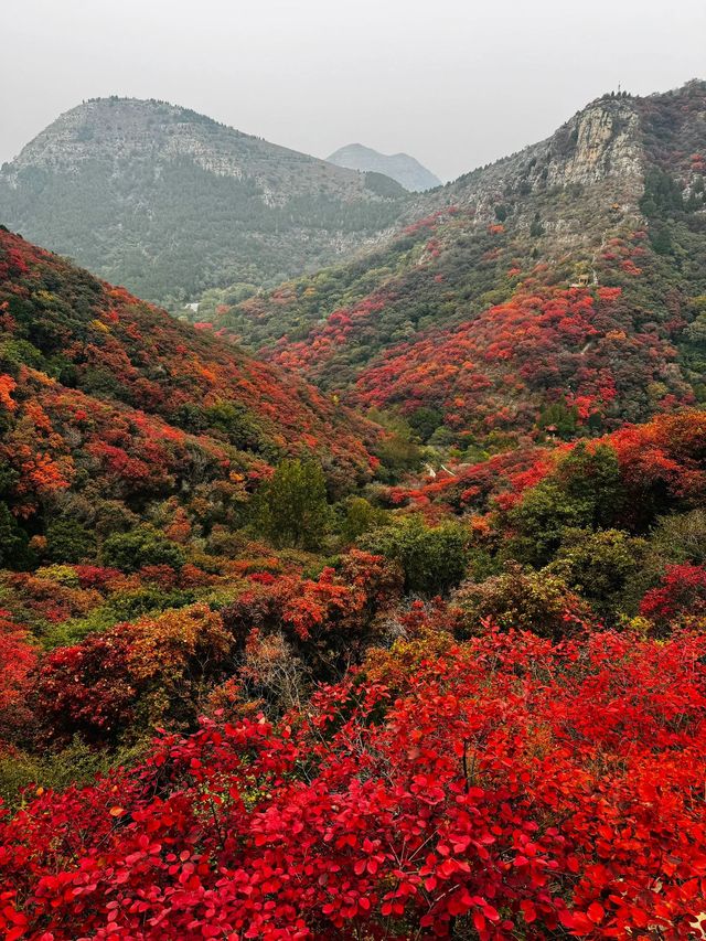 石門坊賞紅葉，邂逅秋日浪漫
