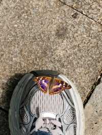 南京江心洲遛娃|真的已經到了next level