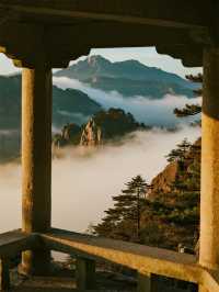廬山秋色漫遊指南！徜徉油畫世界的治癒之旅