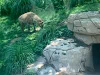北京野生動物園超全攻略