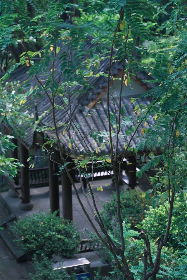 重慶｜石門公園的「新中式」雨天美學