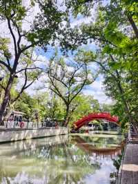 藍天白雲下，紅橋周邊風景美出圈！