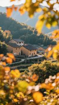 帶上家人來金秋福建三天兩晚，體驗山海與古韻的邂逅！