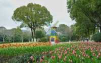 寧波的一個公園，我經常去真喜歡—日湖公園