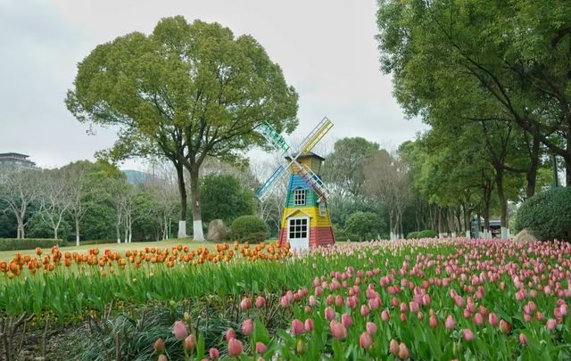 寧波的一個公園，我經常去真喜歡—日湖公園