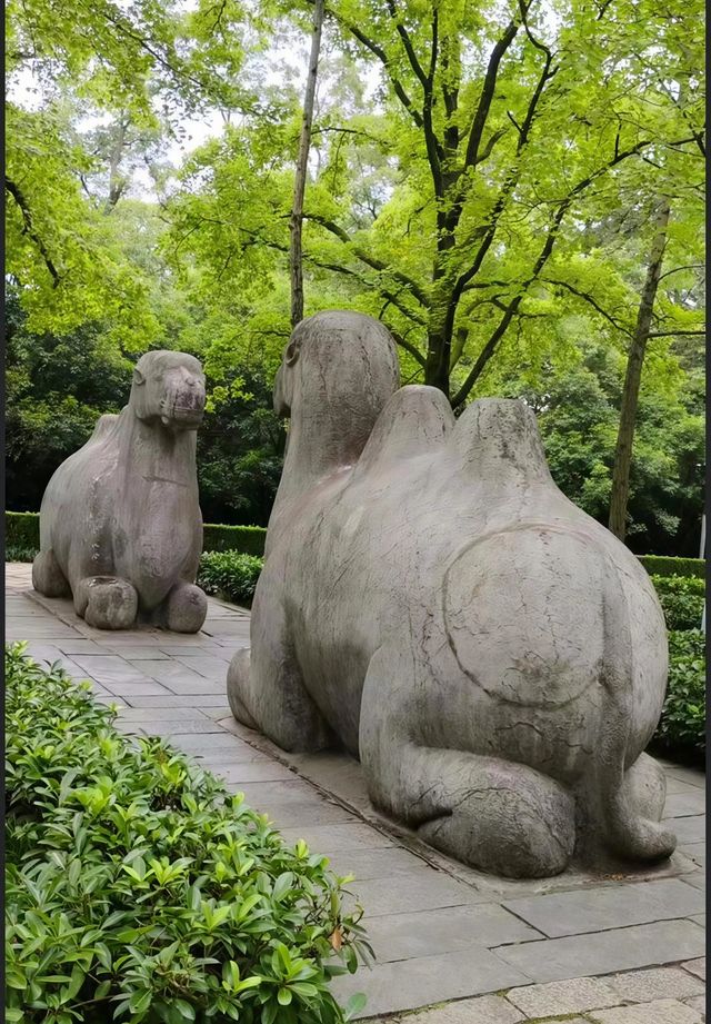 踏入明孝陵神道，歷史，觸手可及。