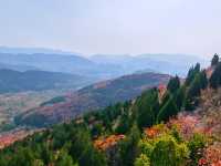 濟南賞紅葉必去｜郎茂山·蠍子山絕美秋色大公開