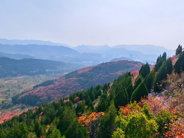 濟南賞紅葉必去｜郎茂山·蠍子山絕美秋色大公開