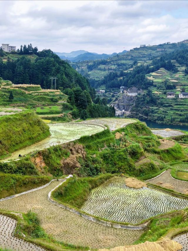 住進田園!白雲村的梯田、吊腳樓與煙火氣,治癒你的秋日疲憊! 住進田園!白雲村的梯田、吊腳樓與煙火氣,治癒你的秋日疲憊!