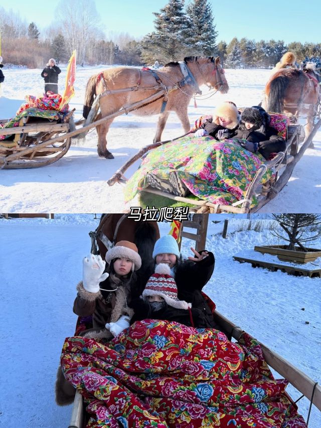 一生坐一次雪國列車越過大興安嶺到漠河