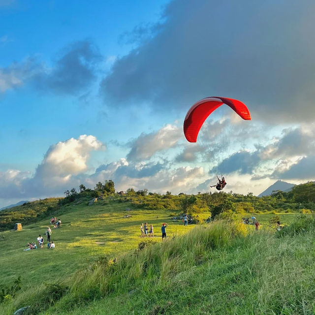 🌿홍콩의 숨은 명소, 마피산 앙평 초원 하이킹