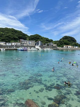 A Lucky Moment Encountering Dolphins