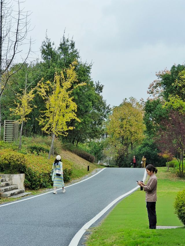 新中式審美的度假酒店！住著就是安逸！