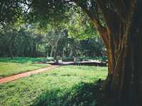 斯里蘭卡｜蒼穹之下，唯有一石